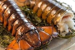 Fresh Maine Jumbo Lobster Tails Oz Pk Cape Porpoise Lobster Co