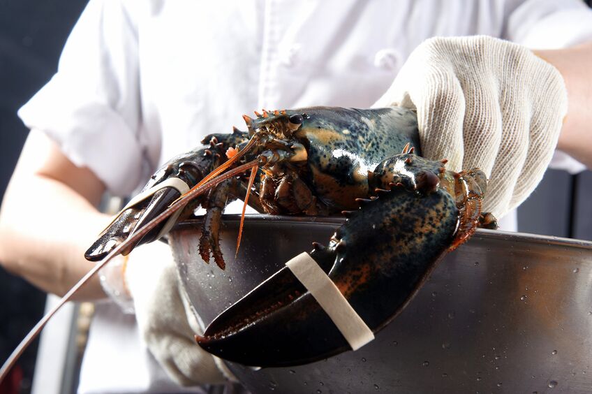 How Long to Cook Lobster - Cape Porpoise Lobster Co.