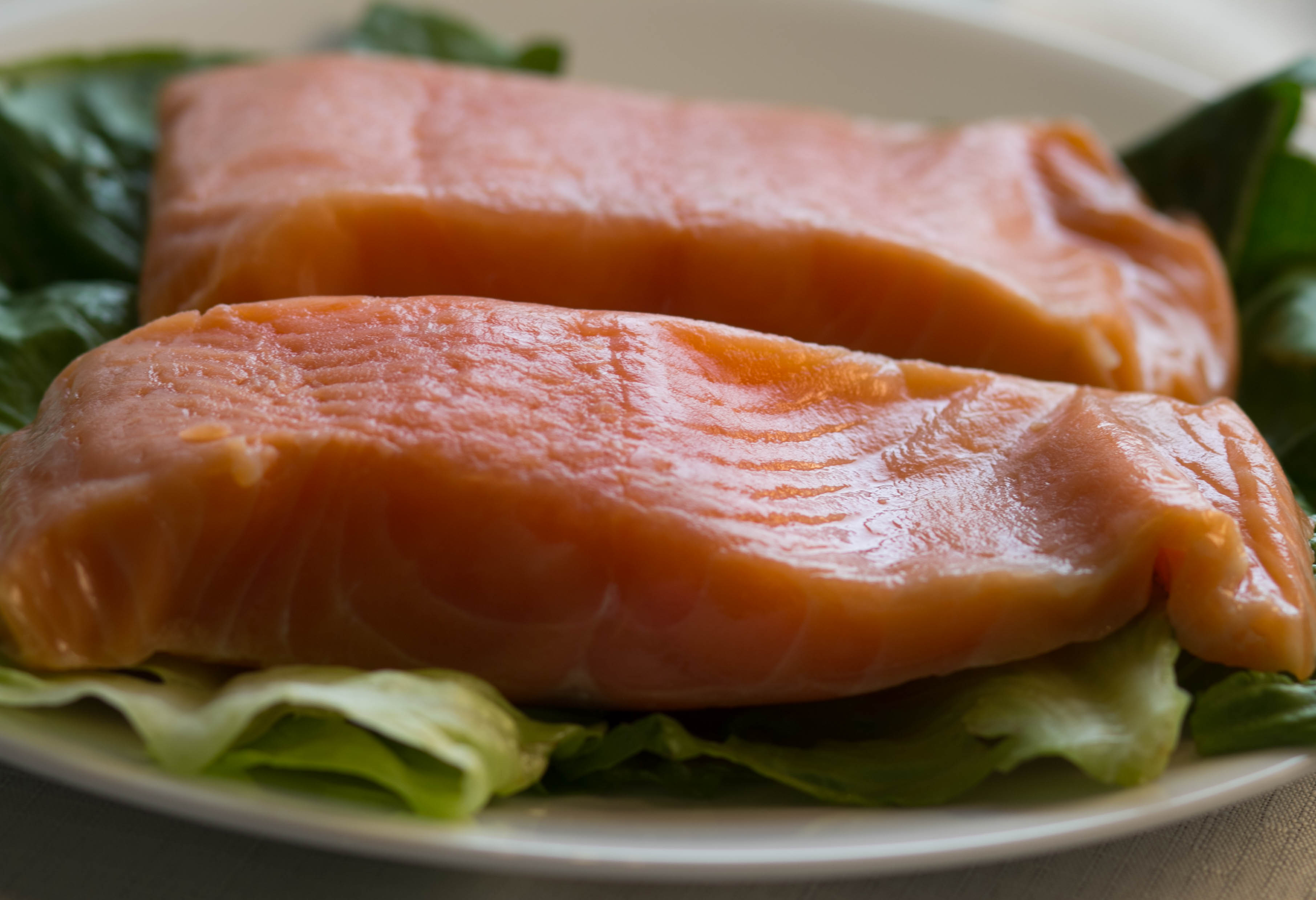 Why Eat Wild Caught Salmon 7956