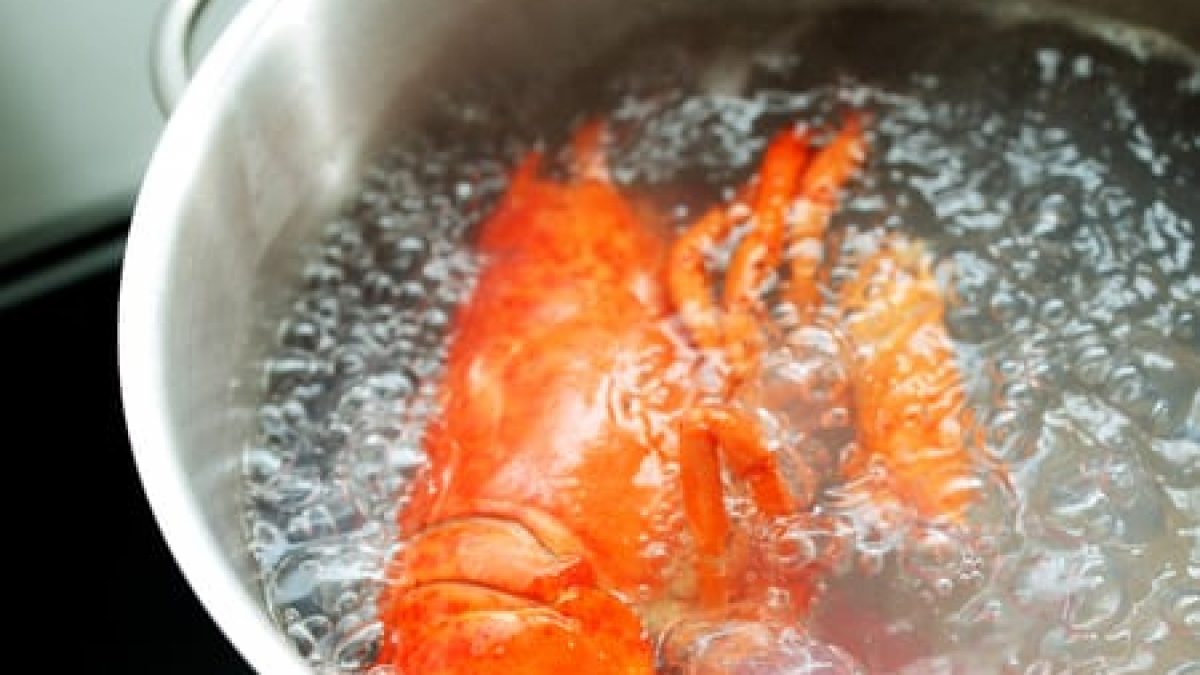 How to Boil Lobster