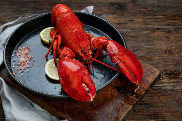 Five Intriguing Facts about Maine Lobster