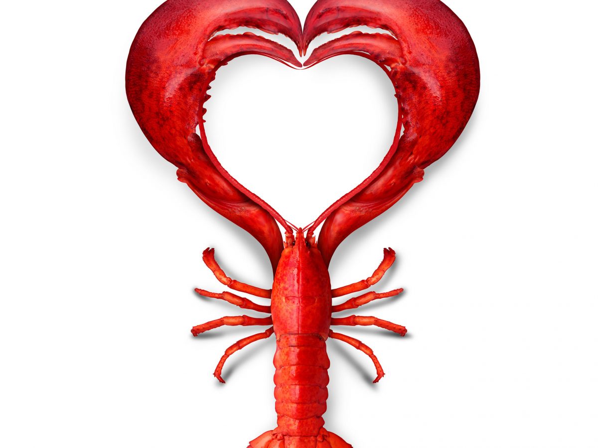 How Eating Lobster Meat Can Spice Up Your Love Life - Cape Porpoise Lobster  Co.