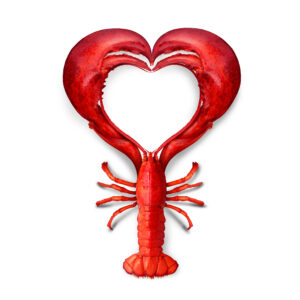 How Eating Lobster Meat Can Spice Up Your Love Life | Cape Porpoise