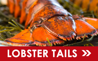 Maine Lobster Meat | Fresh Cooked Maine Lobster Meat | Cape Porpoise ...