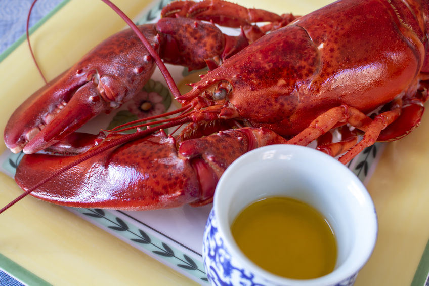 Cup of butter next to a cooked fresh lobster on a yellow plate